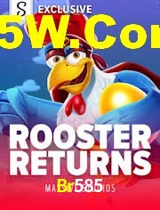 Football Betting Br585