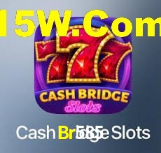 Premium Interface Br585